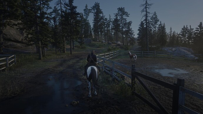 Red Dead Redemption 2_20231230170924