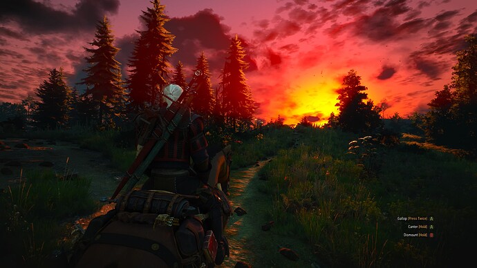 The Witcher 3 12_22_2023 1_44_52 PM