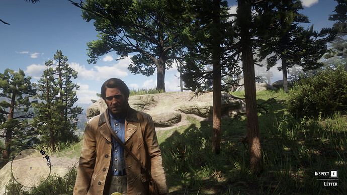 Red Dead Redemption 2 Screenshot 2020.11.06 - 12.51.33.20