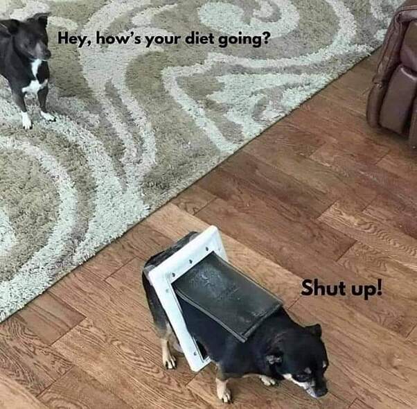 FB_IMG_1633076144753