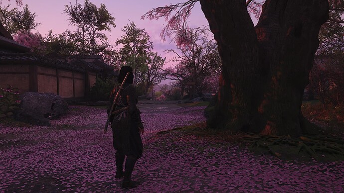 Assassin's Creed® Shadows_20250325121653
