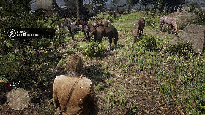 Red Dead Redemption 2 Screenshot 2020.11.06 - 12.52.57.77