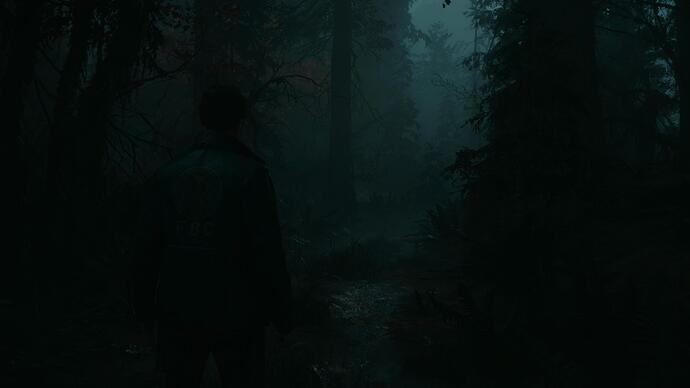 Alan Wake 2_20241027174458