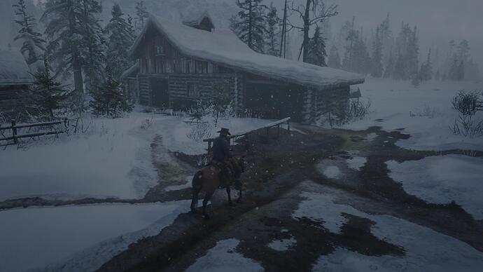 Red Dead Redemption 2_20240101202639