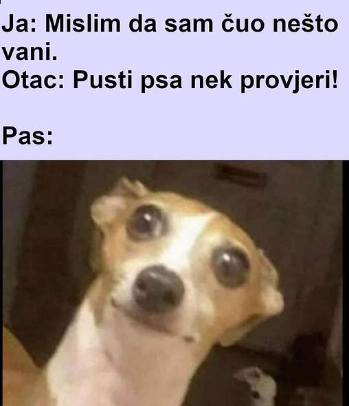 FB_IMG_1635785687465