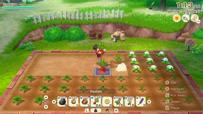The-Grand-Bazaar-farming-1024x576 Story of Seasons: The Grand Bazaar - Switch 2 Recenzija - Originalna Cozy igra pravi vašar… bukvalno!