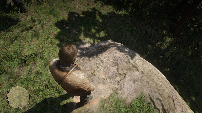 Red Dead Redemption 2 Screenshot 2020.11.06 - 12.51.09.53