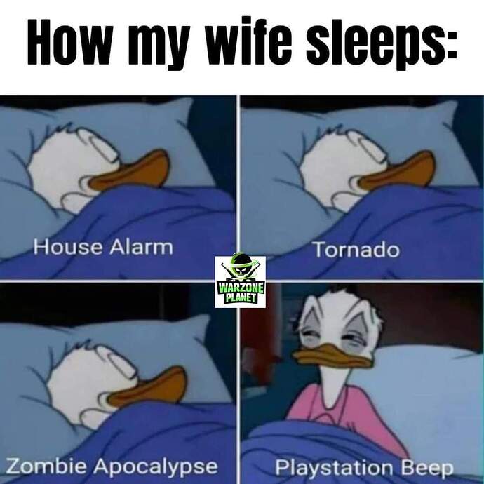 FB_IMG_1694113379161