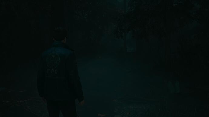 Alan Wake 2_20241027174427