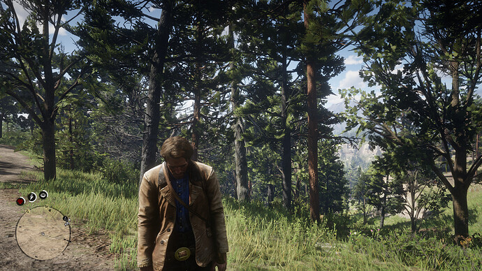 Red Dead Redemption 2 Screenshot 2020.11.06 - 12.52.08.45