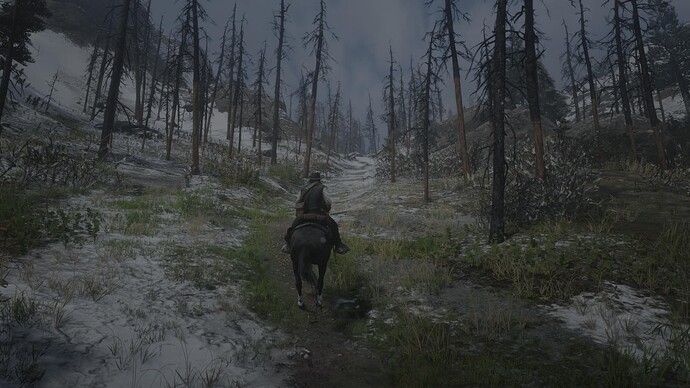 Red Dead Redemption 2_20231231213902