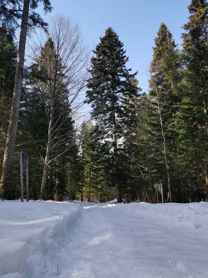 IMG-20220213-WA0005