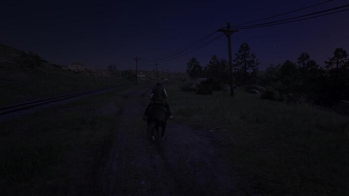 Red Dead Redemption 2_20240101204113