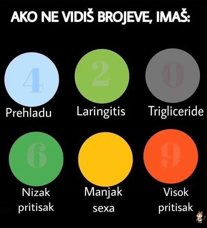 FB_IMG_1673469492667