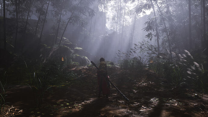 Black Myth  Wukong Screenshot 2026.01.14 - 22.19.44.90