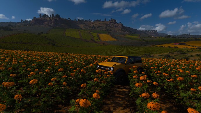 Forza Horizon 5 Screenshot 2021.11.09 - 20.45.06.65