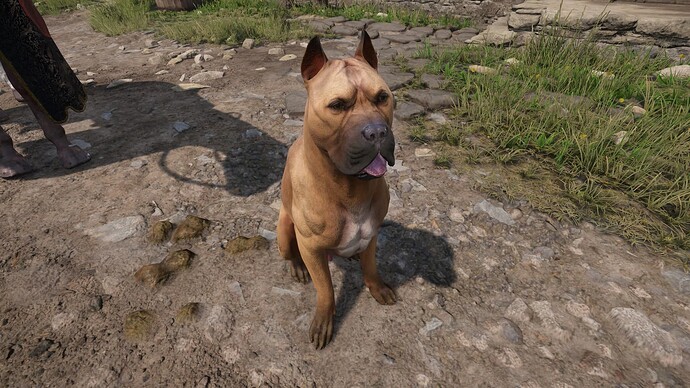 Kingdom Come_ Deliverance II_20250213195801