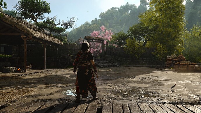 Assassin's Creed® Shadows_20250328120912