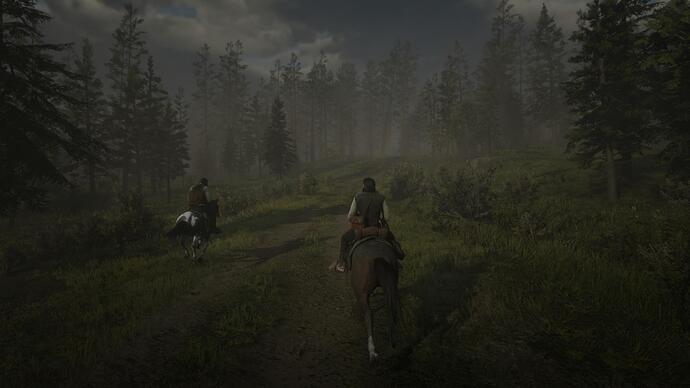 Red Dead Redemption 2_20231231181248